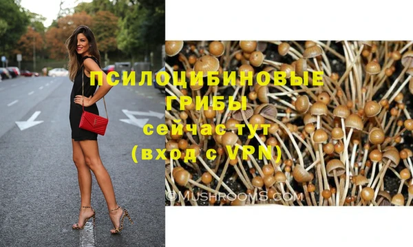 первитин Новодвинск