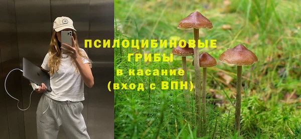 первитин Новодвинск