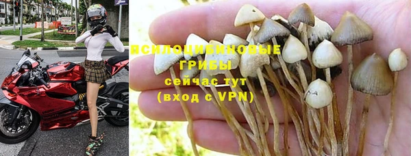 ECSTASY Новозыбков