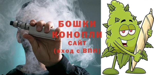 ECSTASY Новозыбков