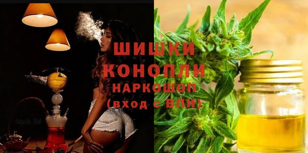 первитин Новодвинск