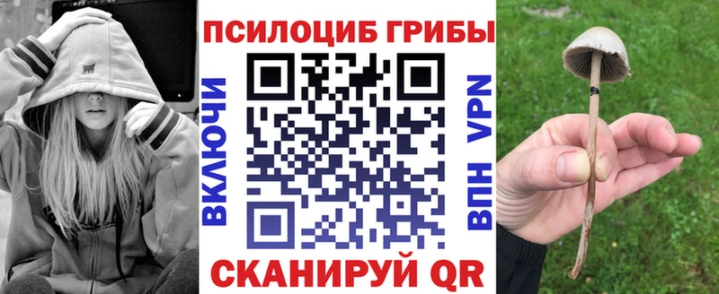 МЕГА как войти  Лиски  Галлюциногенные грибы мицелий 
