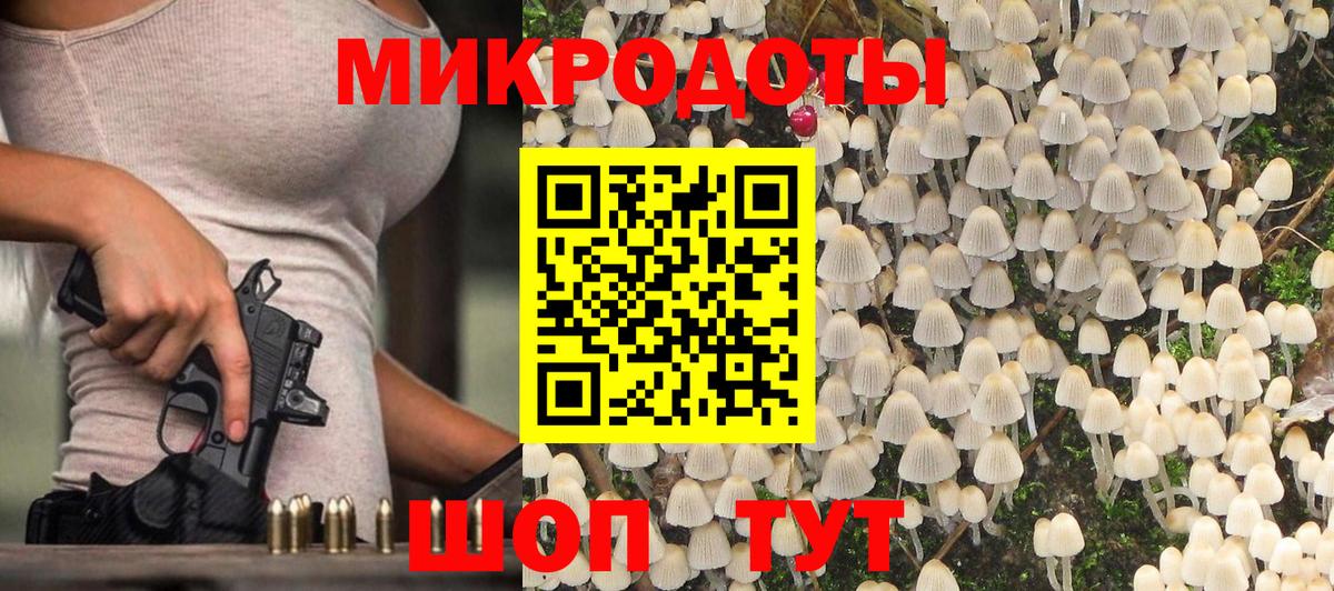 Псилоцибиновые грибы Psilocybine cubensis  Галлюциногенные грибы MAGIC MUSHROOMS  Лиски 