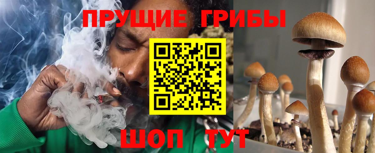 Галлюциногенные грибы MAGIC MUSHROOMS  Псилоцибиновые грибы прущие грибы  Вход с VPN  Лиски 